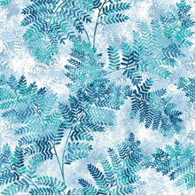 Cyathea Blue Fern