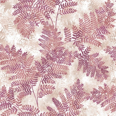 Cyathea Pink Fern