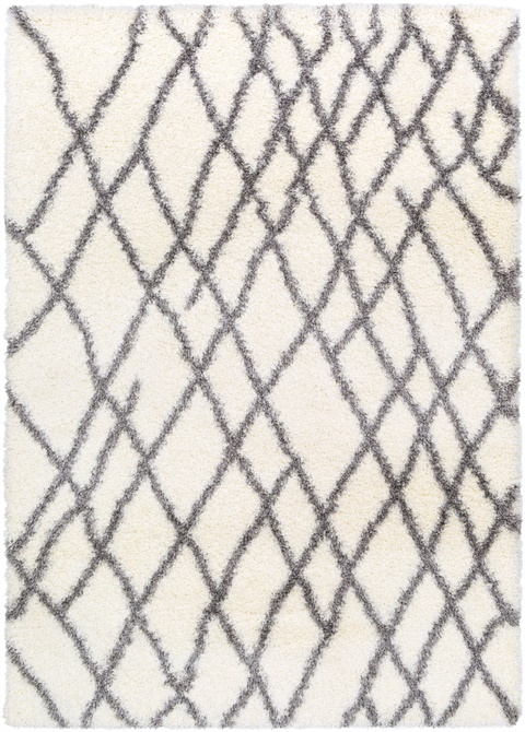 CYS3410 Cloudy Shag Area Rug