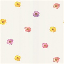 NG63840 | Daisy White Gerber Daisies Wallpaper | Wallpaper Boulevard