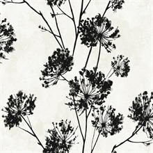 Dandelion Floral Botanical Ebony Peel and Stick Wallpaper
