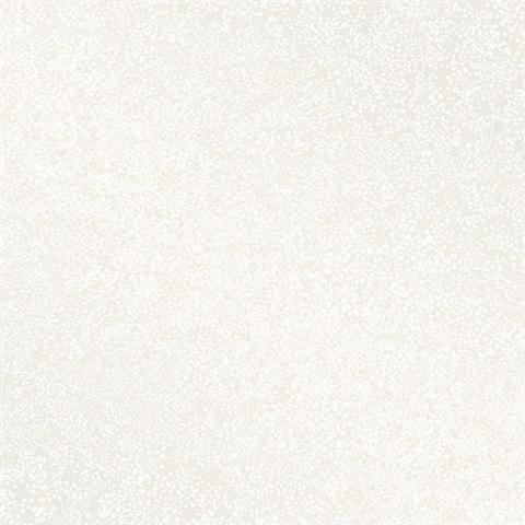 Dandi White Floral