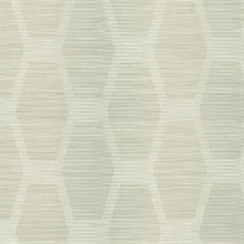 Dark Beige Congas Stripe