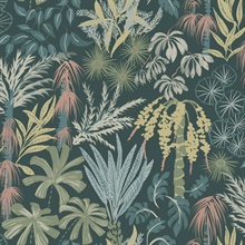 Dark Green Everglades Tropical Palm Trees Wallpaper