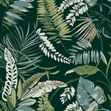 Dark Green Tropical Toss Leaf & Fern Floral Wallpaper