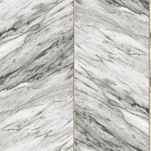 Dark Grey & Gold Marble Panel Wallpaper