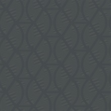 Dark Grey Opposites Attract Glitter Texture Braid Trellis Wallpaper