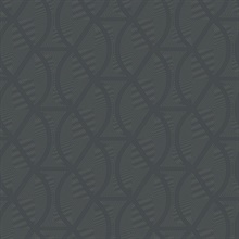 Dark Grey Opposites Attract Glitter Texture Braid Trellis Wallpaper