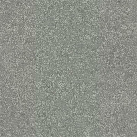 Dark Grey Weathered Texture Faux Wallpaper