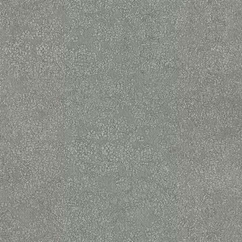 Dark Grey Weathered Texture Faux Wallpaper