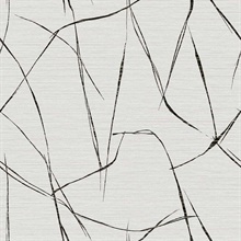 Davenport Sketch Reeds Black & Light Beige Wallpaper