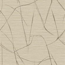 Davenport Sketch Reeds Wheat Wallpaper
