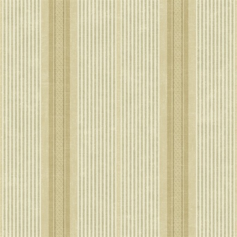David Striped