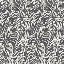 Davy Charcoal Zebra Wallpaper