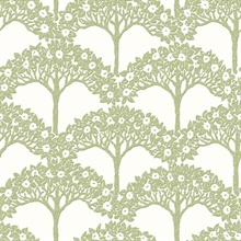 Dawson Green Magnolia Tree Branch Wallpaper