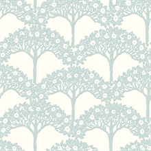 Dawson Sky Blue Magnolia Tree Branch Wallpaper