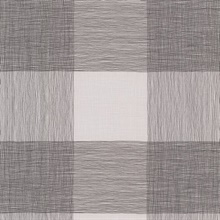 Day to Day Charcoal Plaid