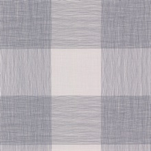 Day to Day Indigo Plaid