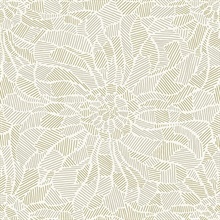 Daydream Honey Abstract Floral