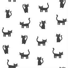 Delia Black Cat Wallpaper