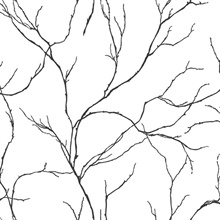 Delicate Branches Botanical Ebony Peel and Stick Wallpaper