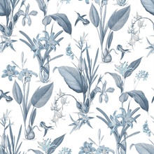Denim Cottage Illustrated Botanical Floral & Hummingbird Wallpaper