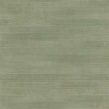 Dermot Light Green Horizontal Leather Stripe Textured Wallpaper
