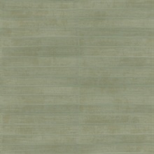 Dermot Light Green Horizontal Leather Stripe Textured Wallpaper