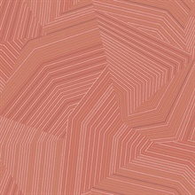 Desert Red Dotted Maze Geometric Dot & Line Wallpaper