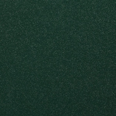 Desert Sand Deep Forest