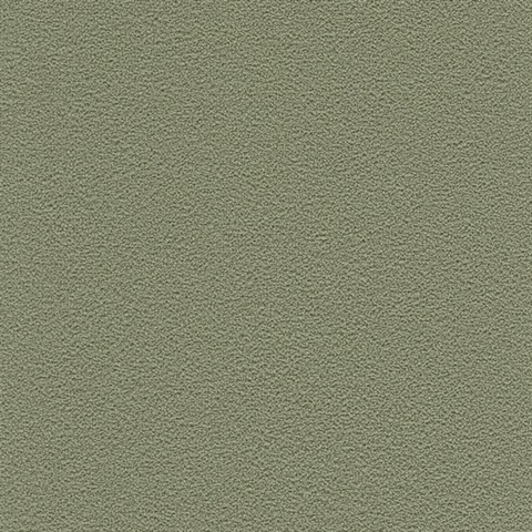 Desert Sand Grassland