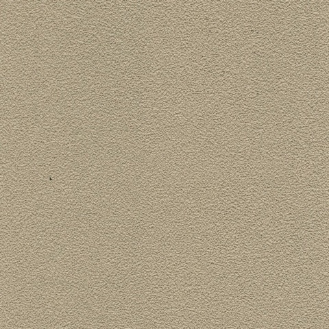 Desert Sand Grit