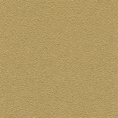 Desert Sand Hidden Treasure