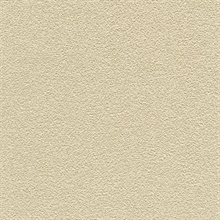 Desert Sand Neutral Beige