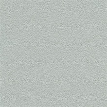 Desert Sand Quicksilver