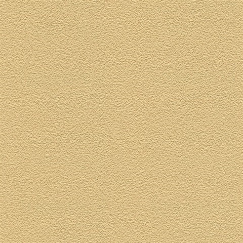 Desert Sand Shoreline
