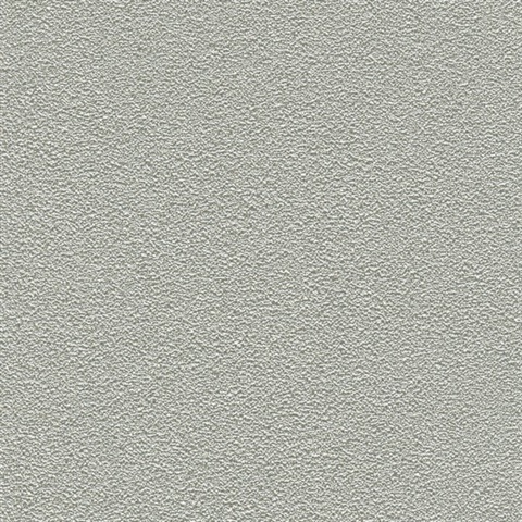 Desert Sand Silver Stone