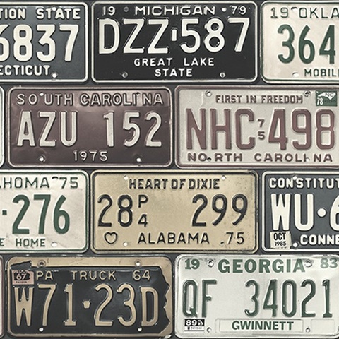 Detroit Licence Plates