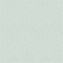 Dew Drop Sea Mist Wallpaper