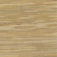 Dhyana Mustard Yellow Grasscloth Wallpaper