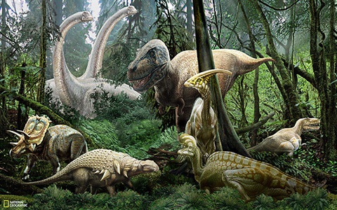 Dinosaurs Wall Mural