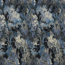 Diore Cobalt