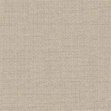 DN-VS5-43 Commercial Wallpaper