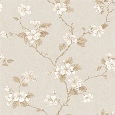 Beige & Brown Dogwood Floral Wallpaper