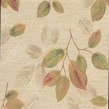 Dorado Green Leaf Toss Wallpaper