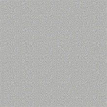 Dot Texture