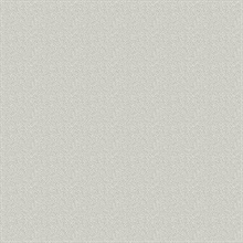 Dot Texture
