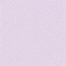 Dotty Lavender Petite Polka Dot Wallpaper