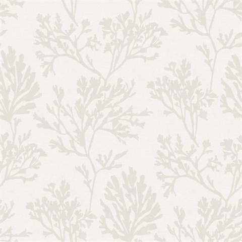Dove Tortuga Coastal Coral Reef Wallpaper