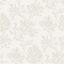 Dove Tortuga Coastal Coral Reef Wallpaper
